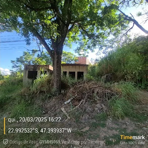 Imagem do imóvel TE18007