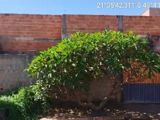 Imagem do imóvel CA74228