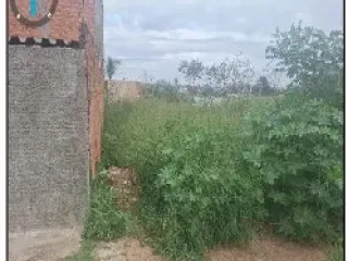 Imagem do imóvel TE37505